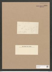 Diatomeae indet. Zeichnungen Sammlung Grunow Nr. 3306 (NHMW-BOT-W0370798)
